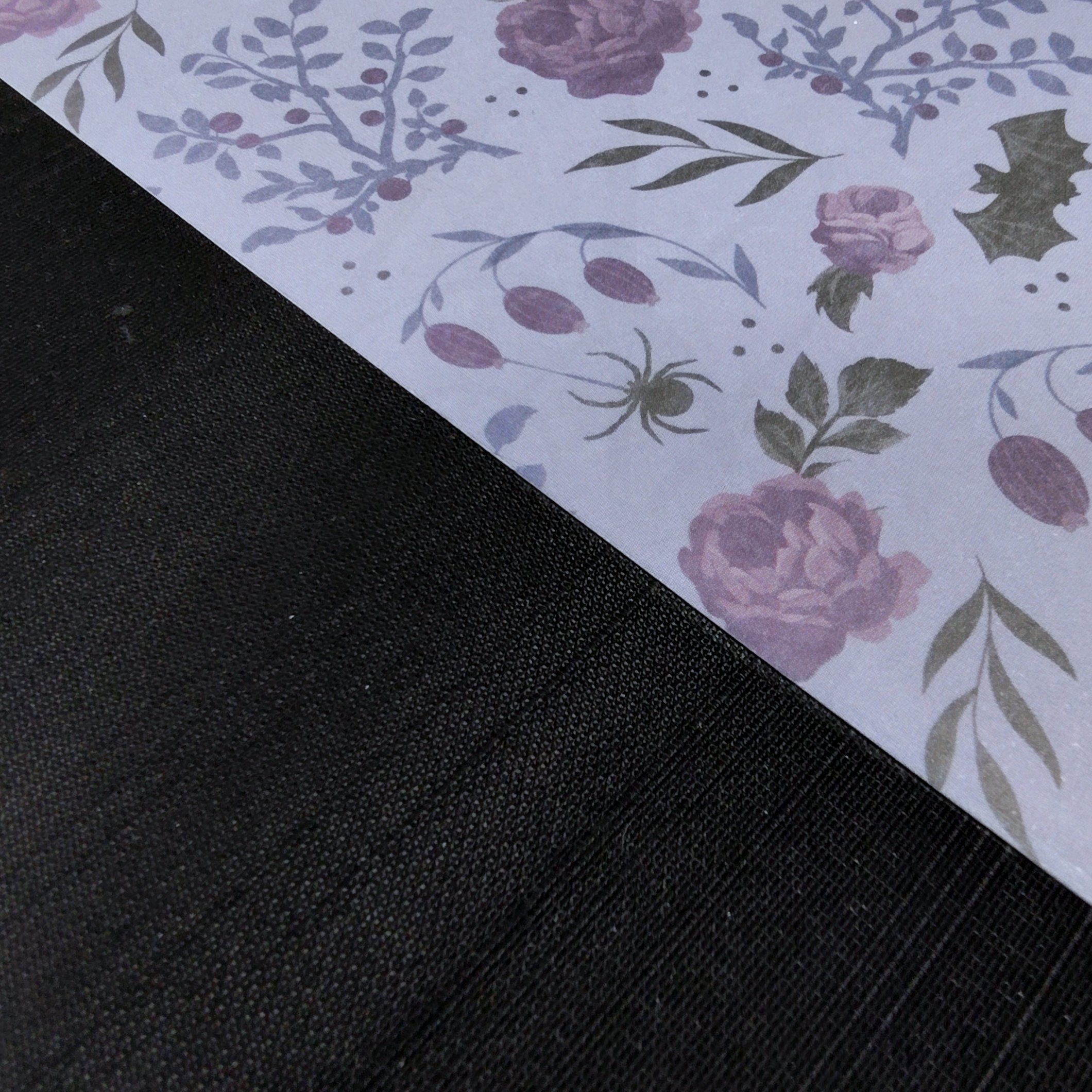 Bats, Spiders, and Plants with Black – M201